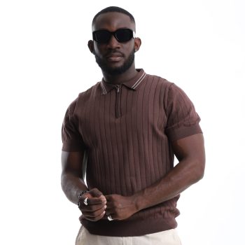 Pinstripe Knit Zip Polo Shirt - Brown